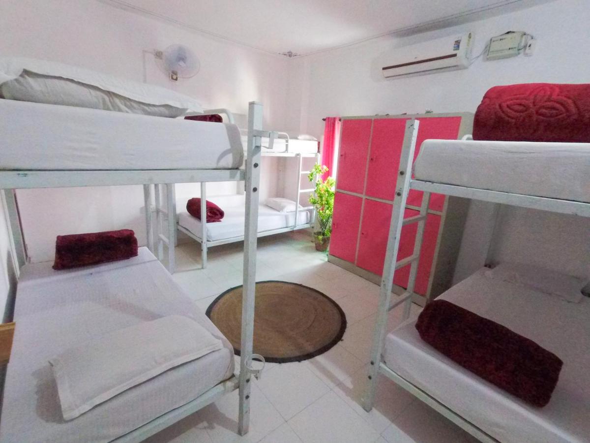 The Hostel Crawl Udaipur Exterior photo