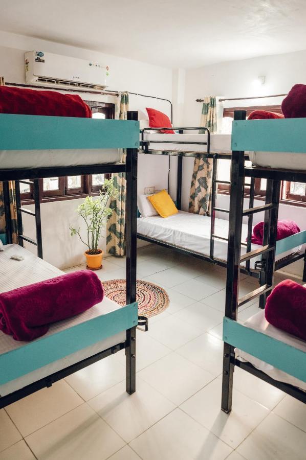 The Hostel Crawl Udaipur Exterior photo